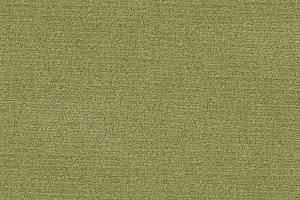 Ковролин Radici Abetone Verde 3138 фото  | FLOORDEALER